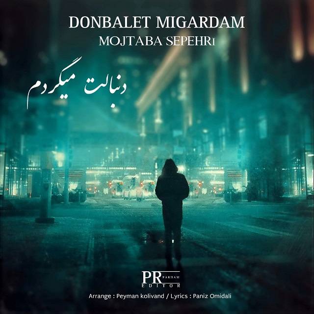 دانلود آهنگ مجتبی سپهری دنبالت میگردم